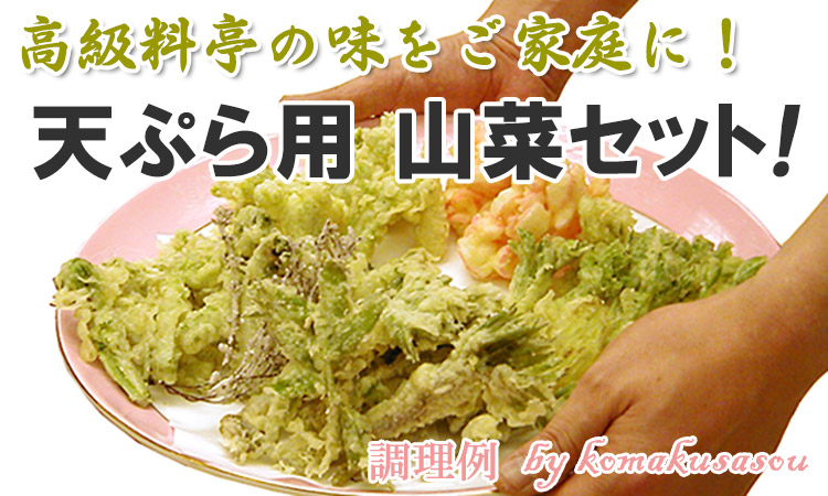 天ぷら料理に向く山菜3～4種類を、その日収穫された中から厳選してお届け！