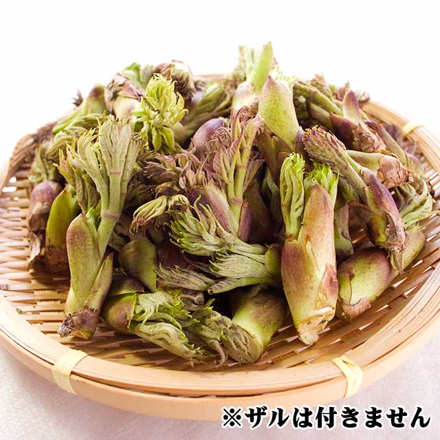天然たらの芽 300g 天然たらの芽 300g