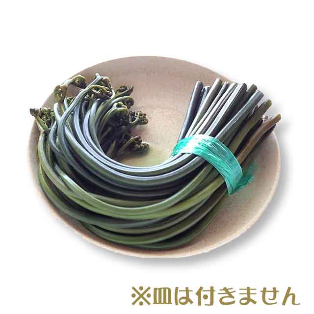 あく抜きわらび(500g) あく抜きわらび(500g)