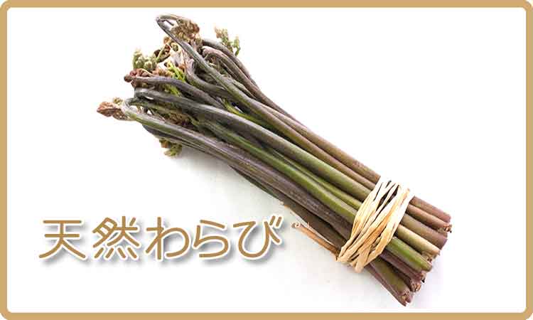 わらび 通販 天然山菜専門卸問屋から産直販売 山菜屋 Com