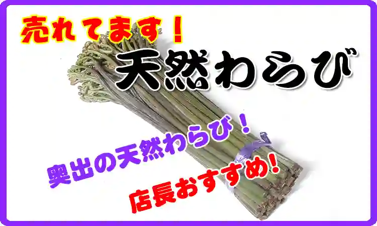 奥出の天然わらび