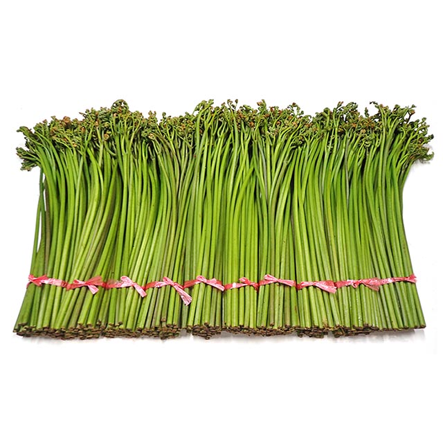 塩漬用わらび 10束（500g×10）