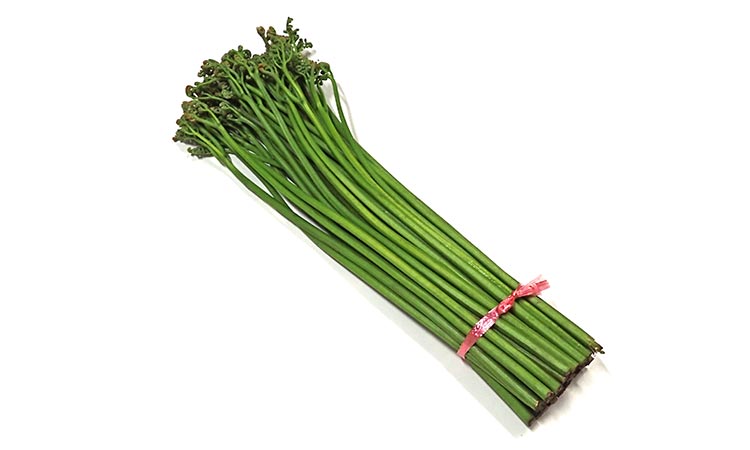 塩漬用わらび 1束 500g前後