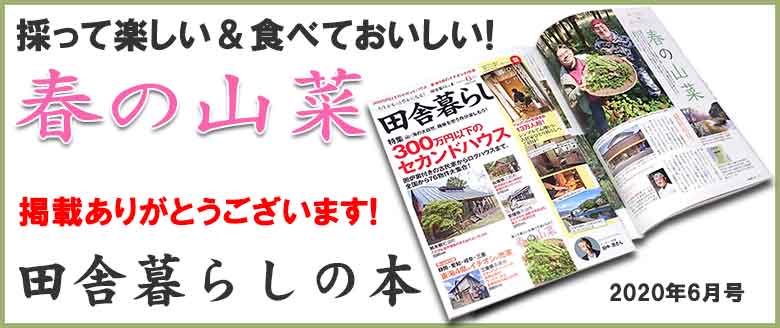 田舎暮らしの本2020年6月号