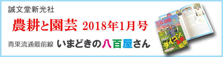 青果流通最前線　いまどきの八百屋さん