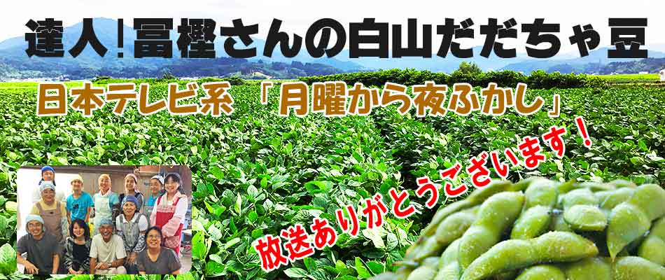 山菜 通販 創業54年 天然山菜専門の卸問屋直営サイト｜山菜屋.com