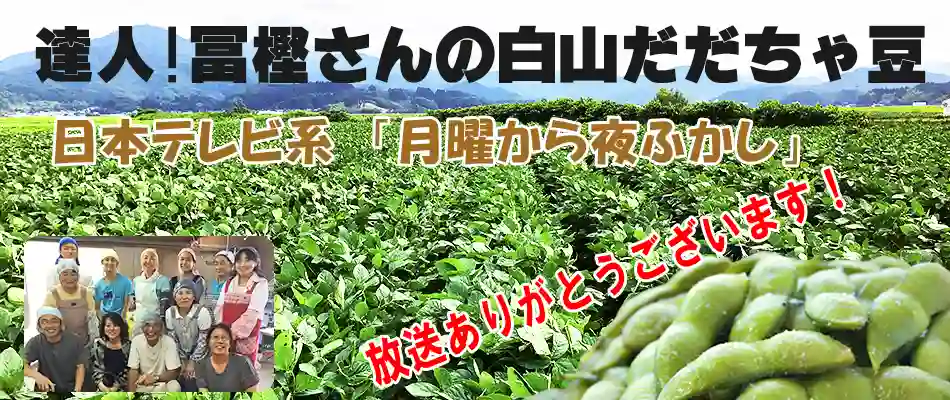 冨樫さんの白山だだちゃ豆