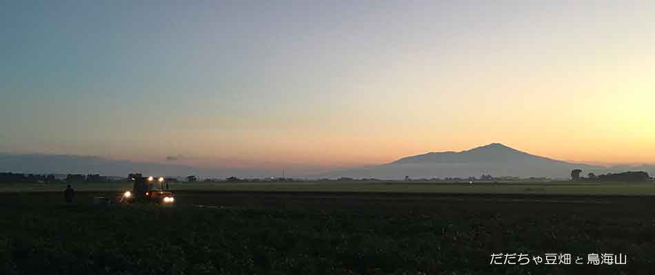だだちゃ豆畑と鳥海山