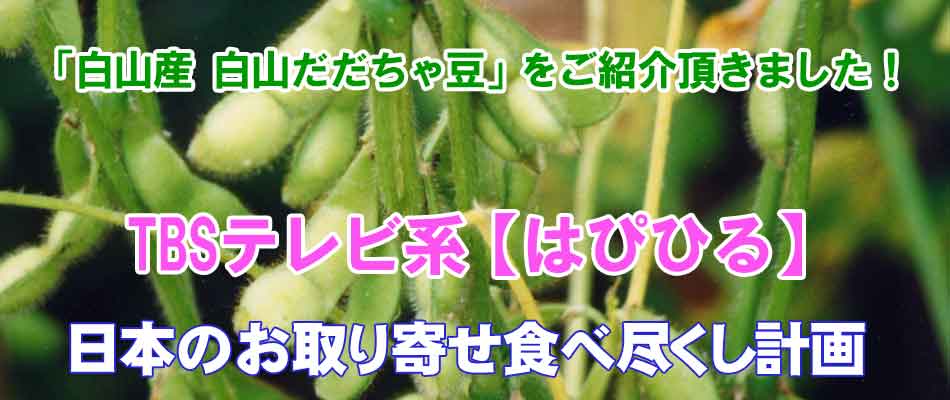 白山産 白山だだちゃ豆