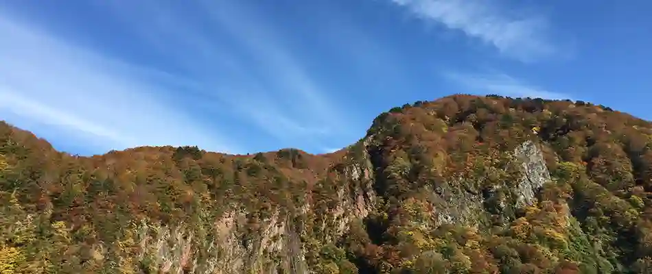 紅葉1